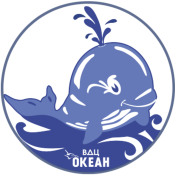 Дружина «Китёнок»